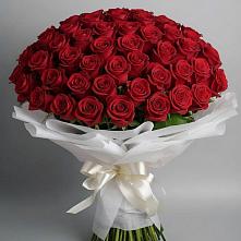 Букет 101 Красная роза Блэк Мэджик в Глазове