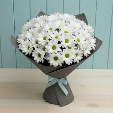 Букет цветов из:  Хризантемы в Глазове