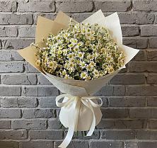 Букет цветов из:  Ромашки в Глазове