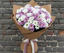 Букет цветов из:  Хризантемы #REPLACE_PRED# Глазове