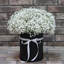 Цветочная композиция из Гипсофила в шляпной коробке в Глазове