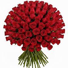 Букет Красные розы Чери Лав в Глазове